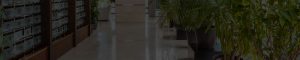 Metallic Epoxy Floor Coating Boise